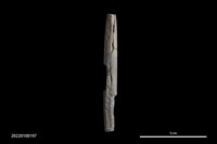 藏品(兩縊型網墜)的圖片